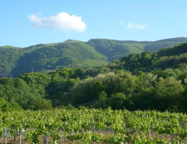 Agroturismo Landarbide Zahar Aia Екстер'єр фото